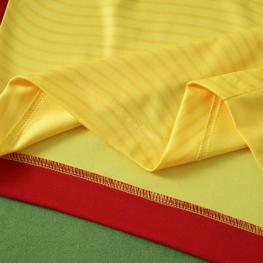 2526 season Romania home Fan version