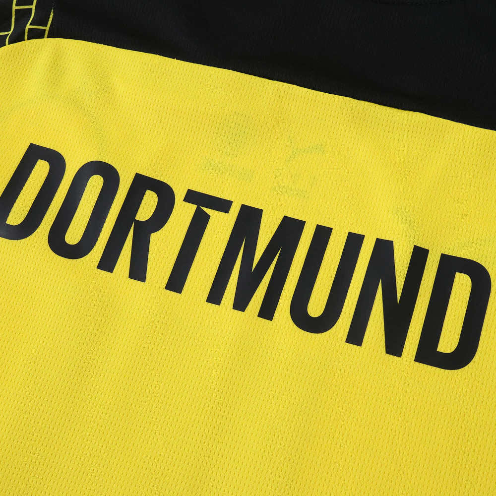 2526 season Borussia Dortmund Concept version Fan version