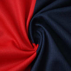 2526 season Genoa C.F.C. Concept version Long sleeved Fan version