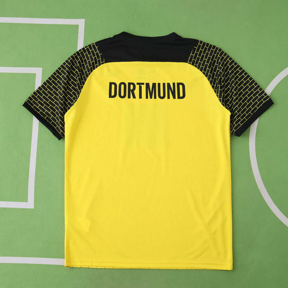 2526 season Borussia Dortmund Concept version Fan version