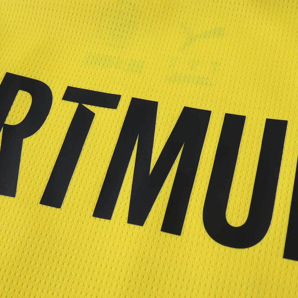2526 season Borussia Dortmund Concept version Fan version