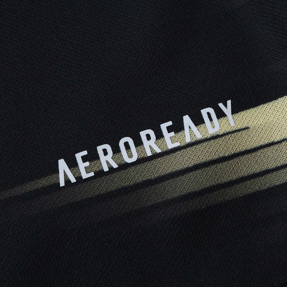 2526 season Aberdeen F.C. away Fan version