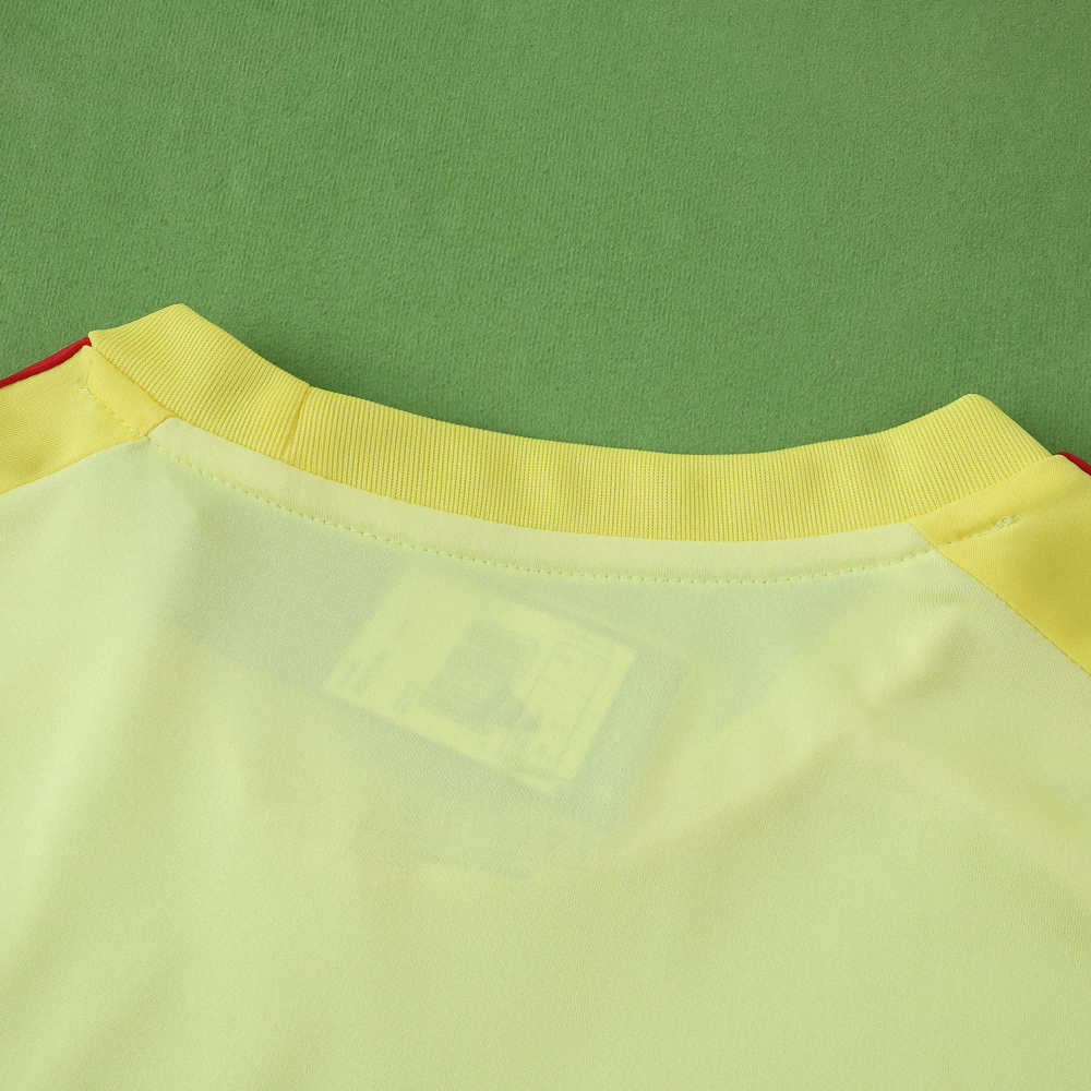 2526 season Celtic FC goalkeeper Fan version