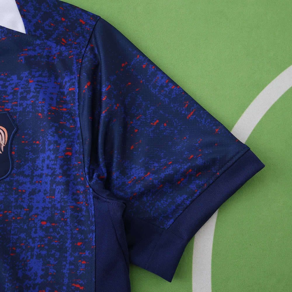 2526 season France home Fan version