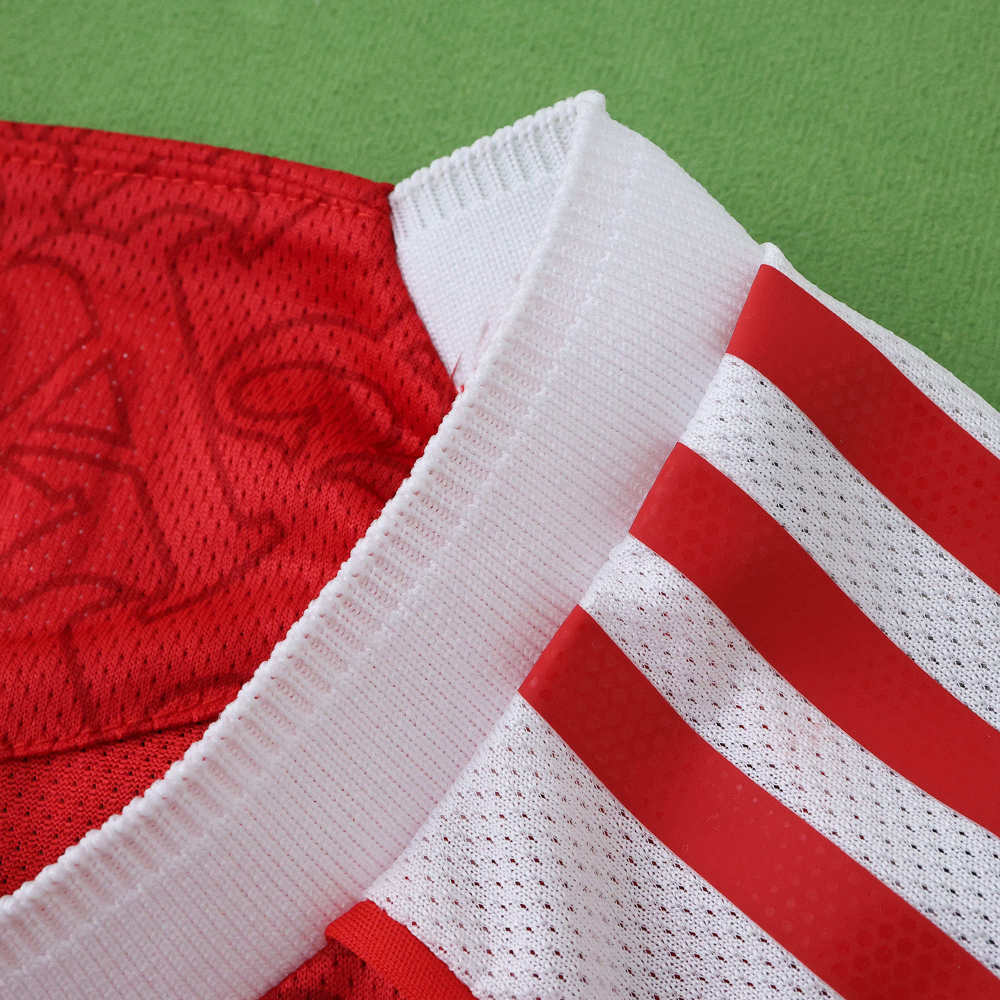 2526 season Arsenal F.C. home Player version