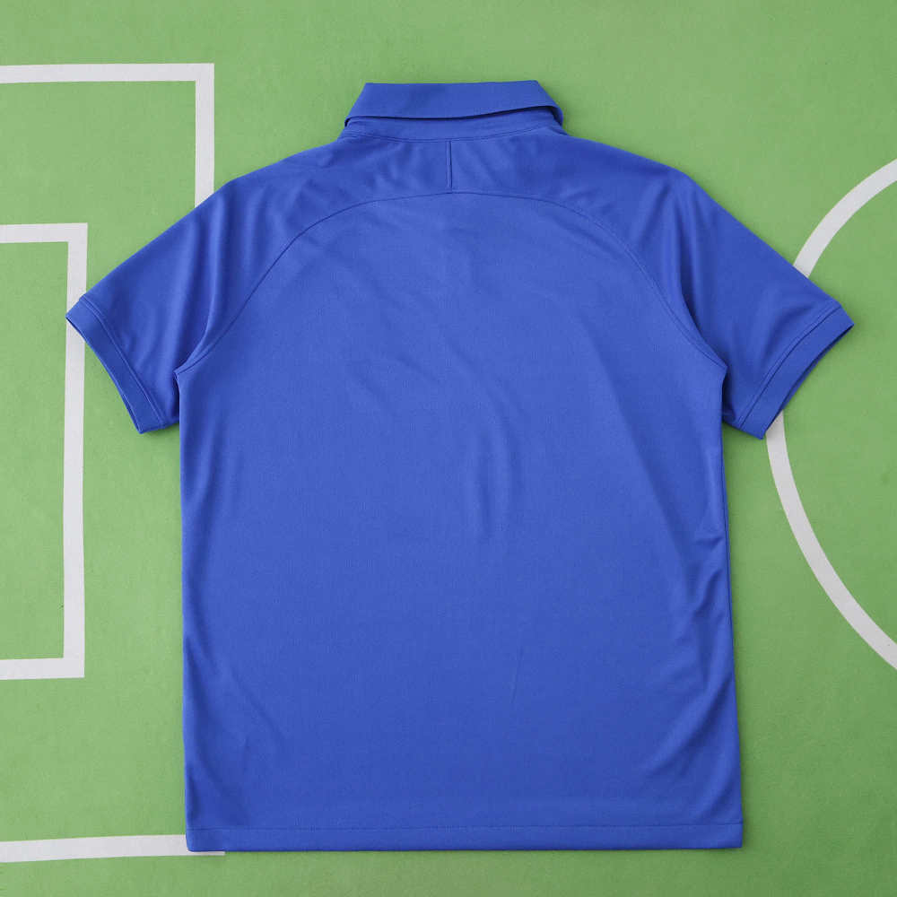 2019 season France Concept version Fan version