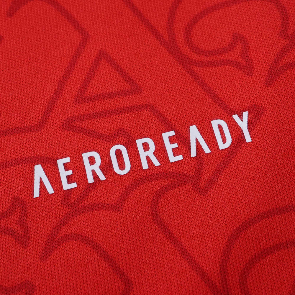 2526 season Arsenal F.C. home Fan version