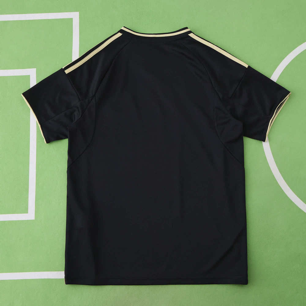 2526 season Aberdeen F.C. away Fan version