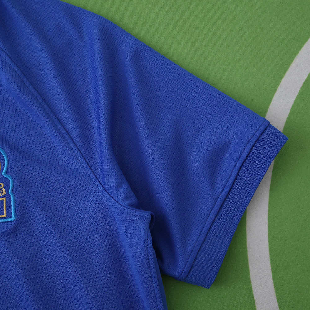 2019 season France Concept version Fan version
