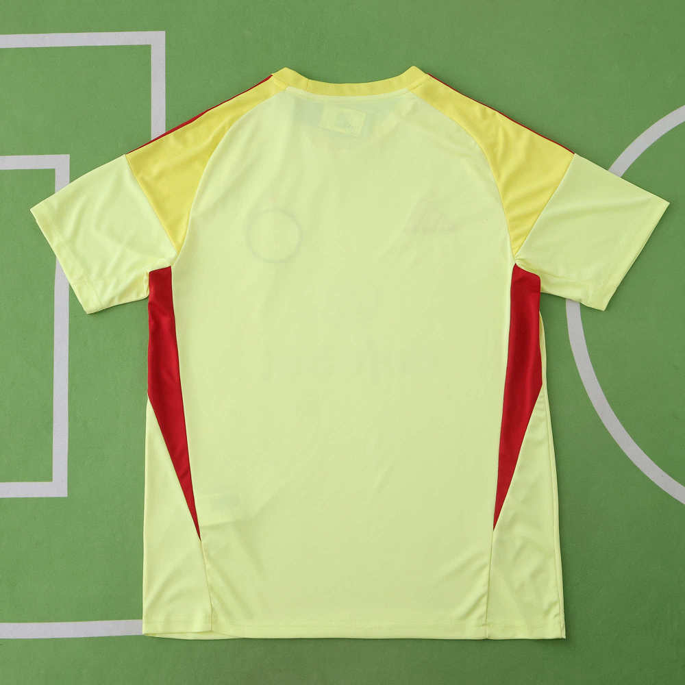 2526 season Celtic FC goalkeeper Fan version
