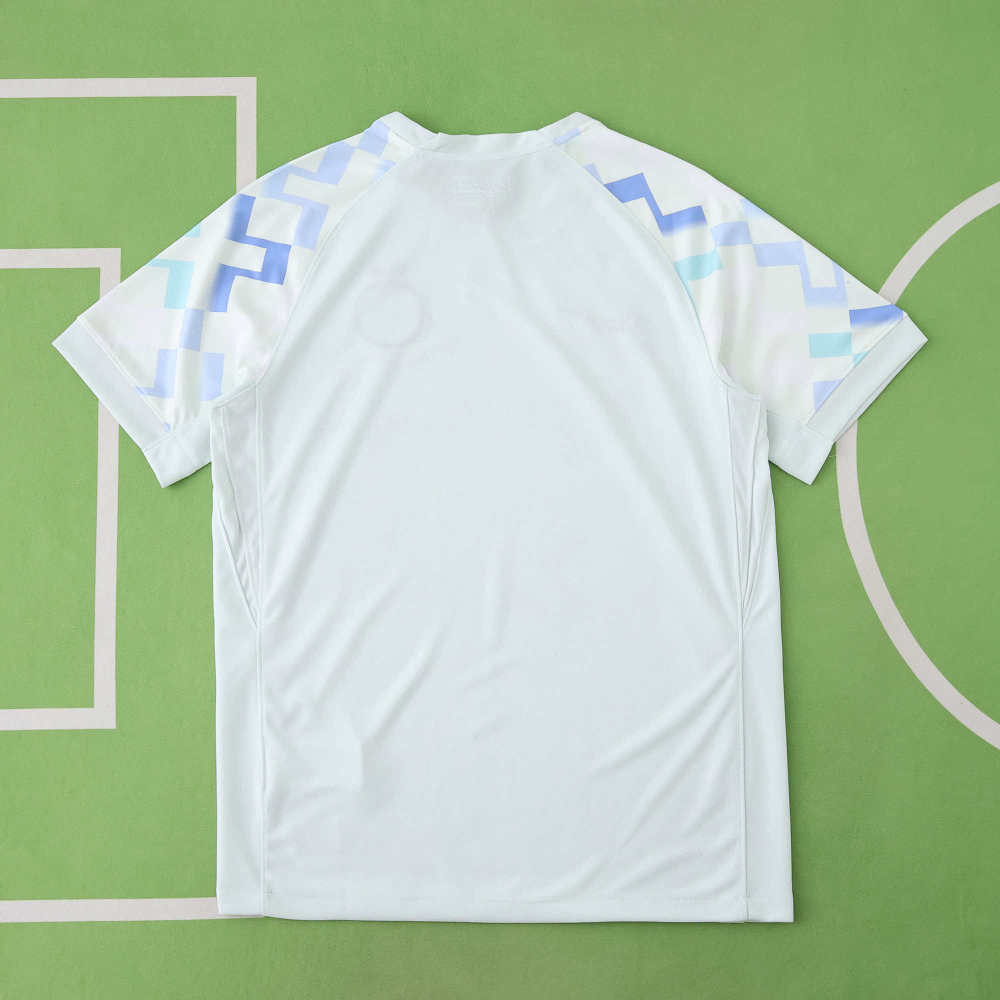 2526 season F.C. Internazionale Milano away Fan version
