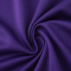 2526 season ACF Fiorentina home Fan version