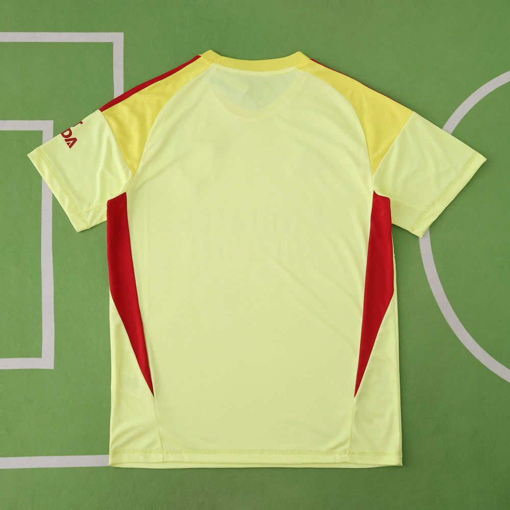 2526 season Arsenal F.C. goalkeeper Fan version