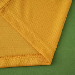 2526 season Wolverhampton Wanderers F.C. home Fan version
