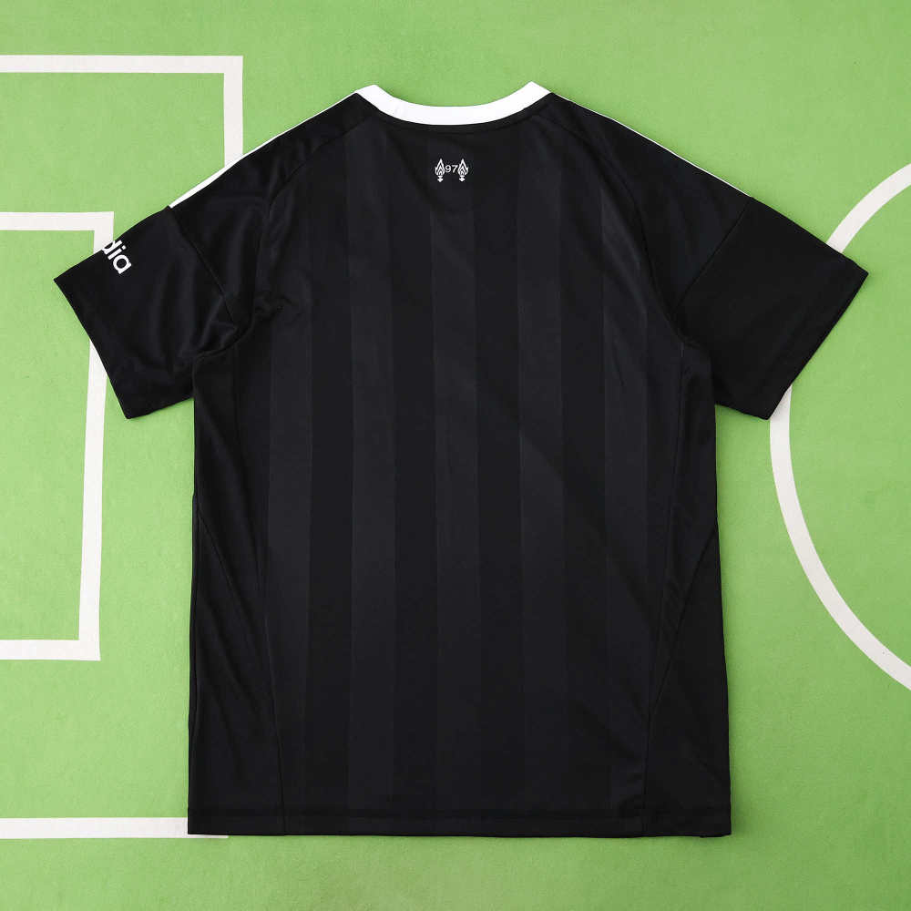 2526 season Liverpool F.C. goalkeeper Fan version