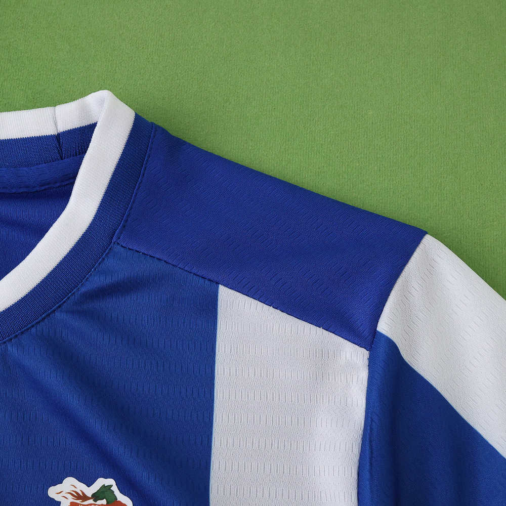 2526 season FC Porto home Fan version