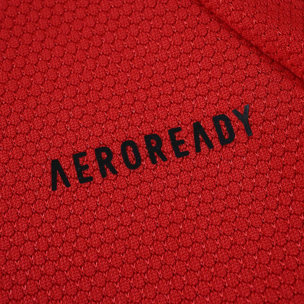 2526 season S.L. Benfica home Fan version