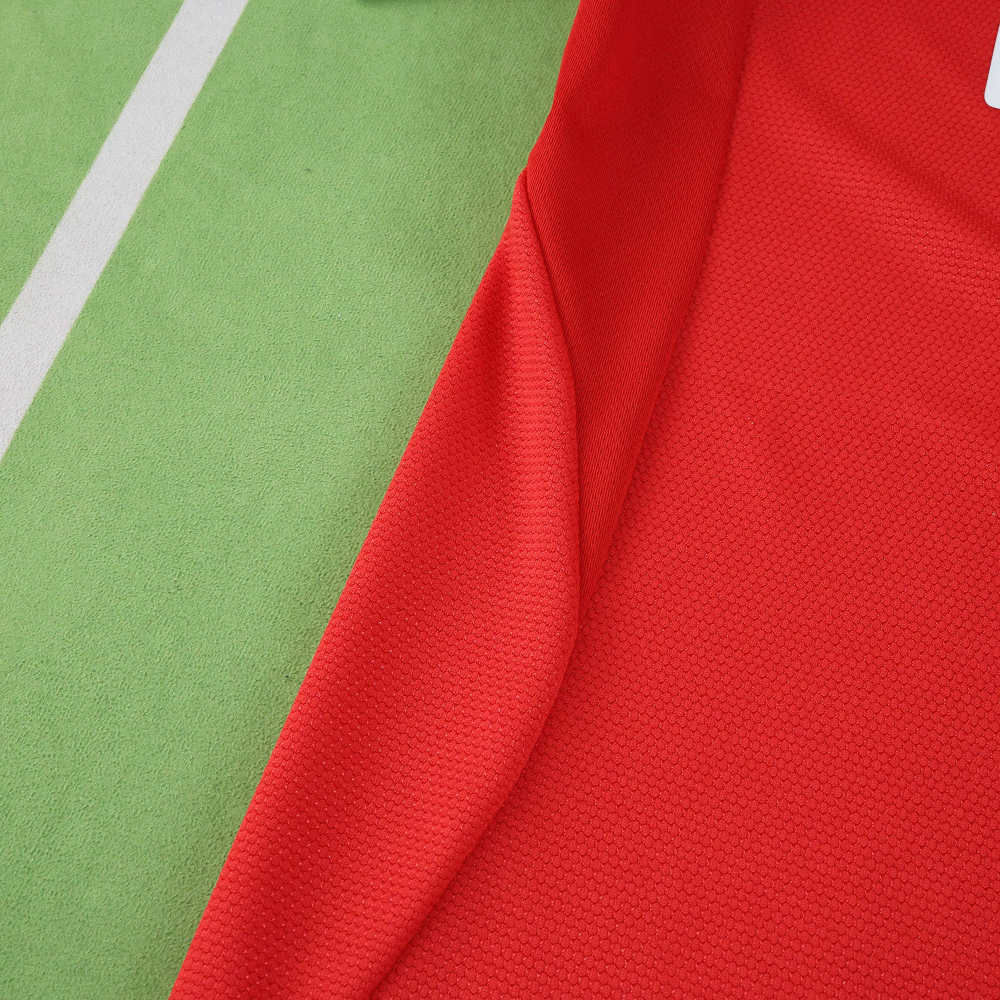 2526 season S.L. Benfica home Fan version