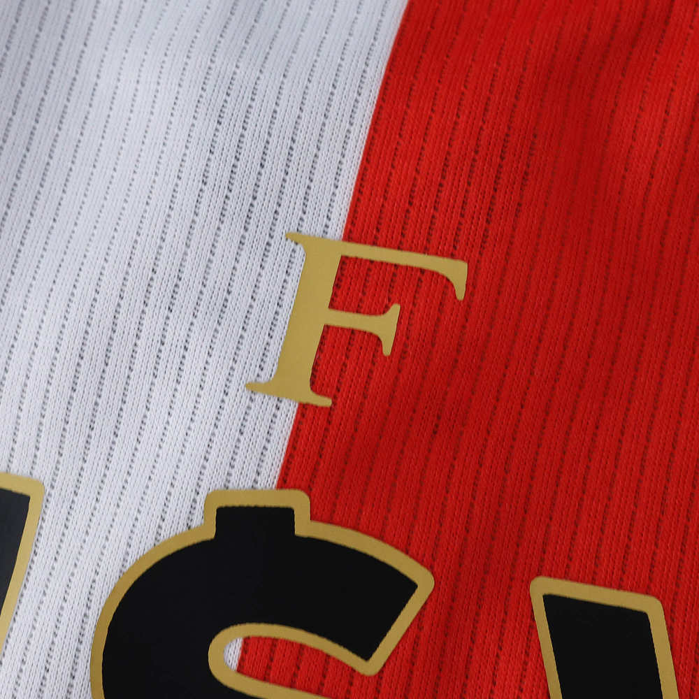 2526 season Feyenoord home Fan version