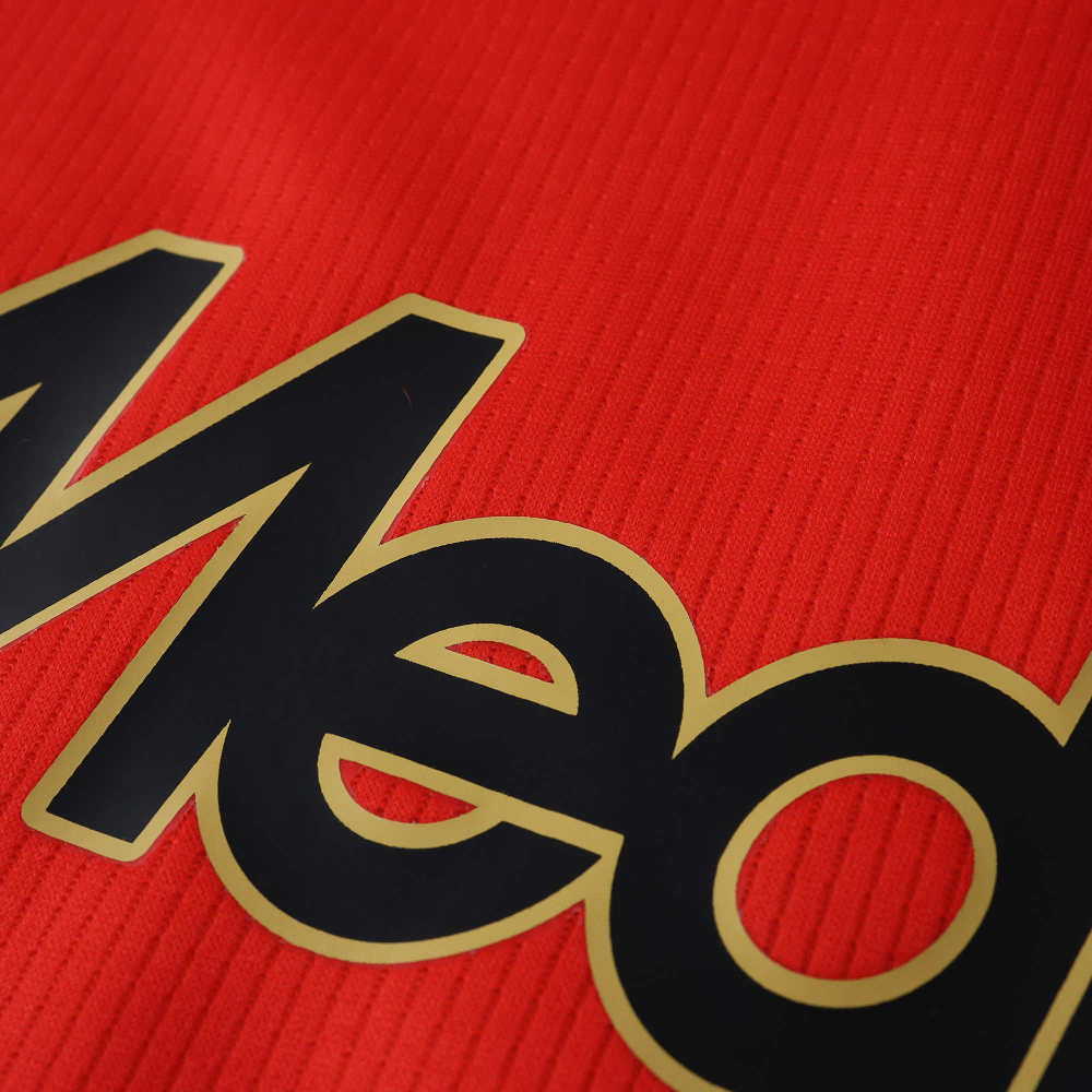 2526 season Feyenoord home Fan version