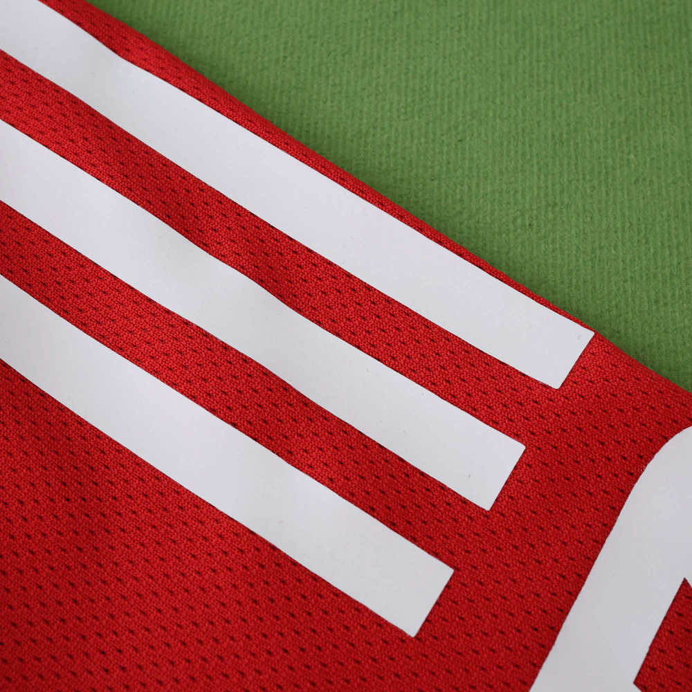 2526 season S.L. Benfica home Player version