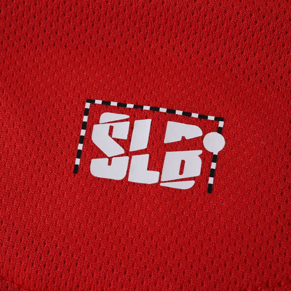 2526 season S.L. Benfica home Player version
