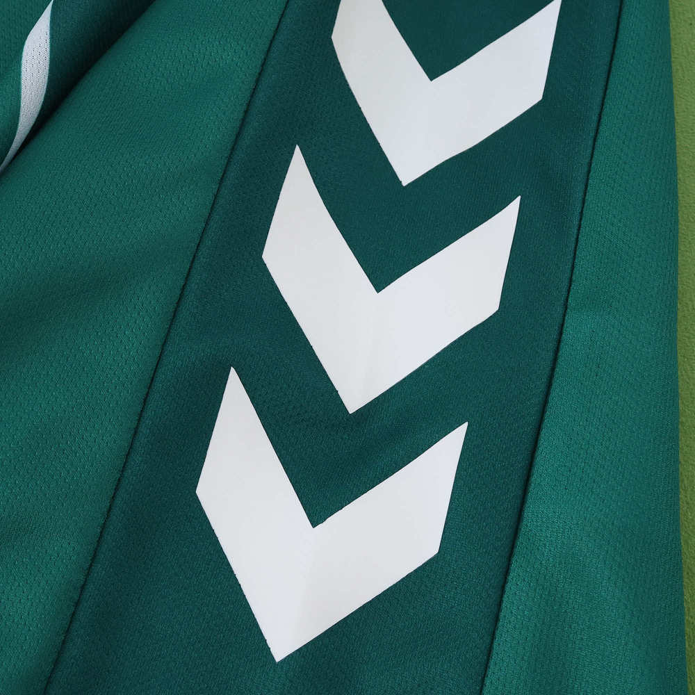 2526 season SV Werder Bremen home Fan version