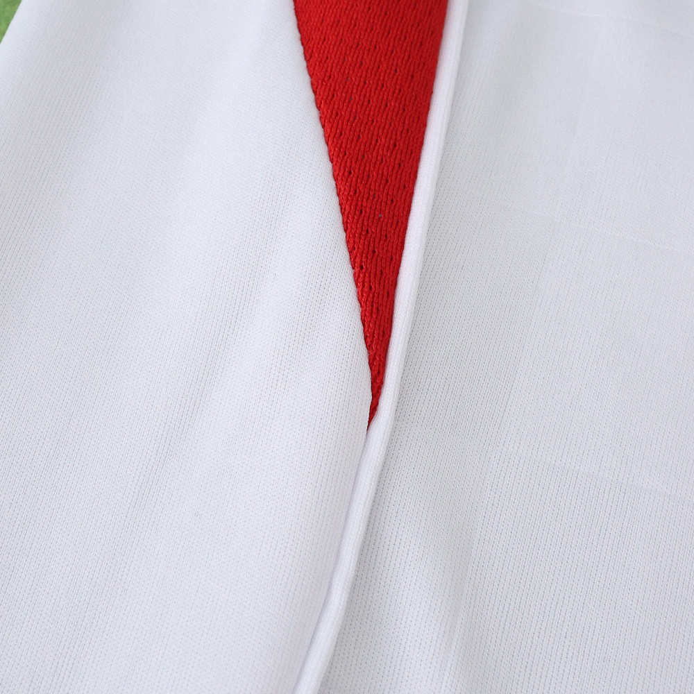 2526 season S.L. Benfica third Fan version