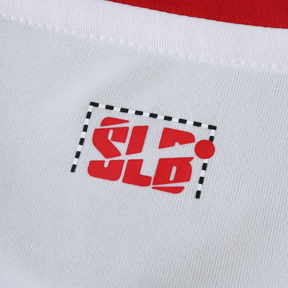 2526 season S.L. Benfica third Fan version