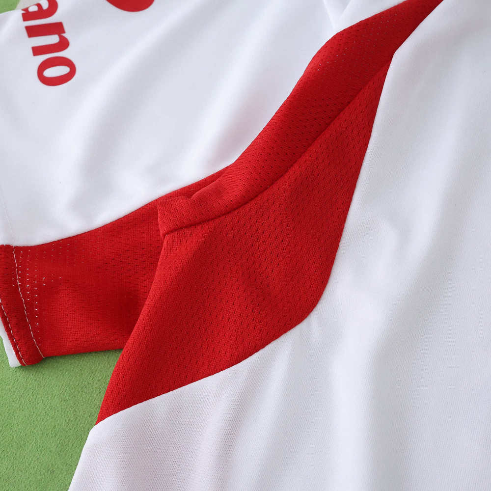 2526 season S.L. Benfica third Fan version