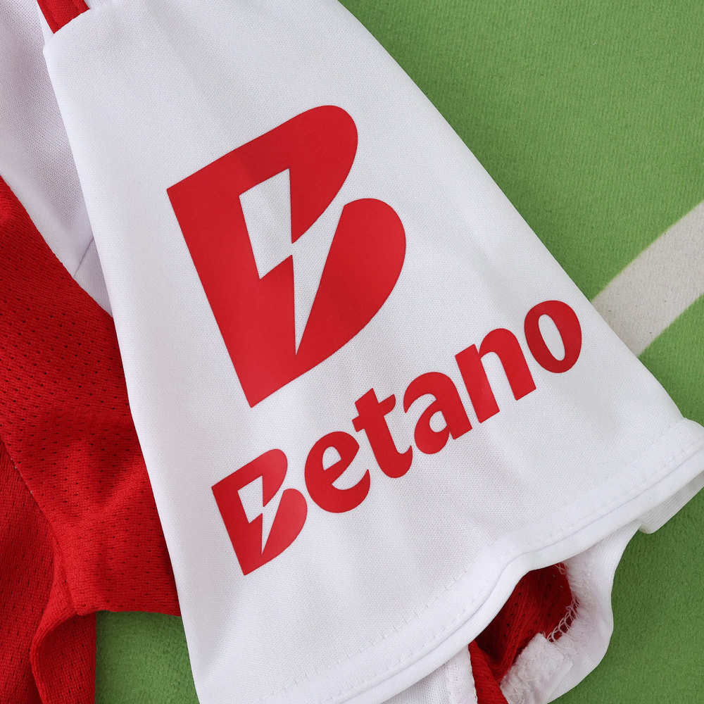 2526 season S.L. Benfica third Fan version
