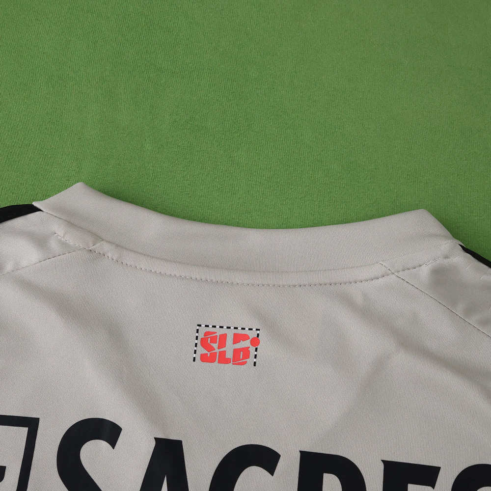 2526 season S.L. Benfica away Player version