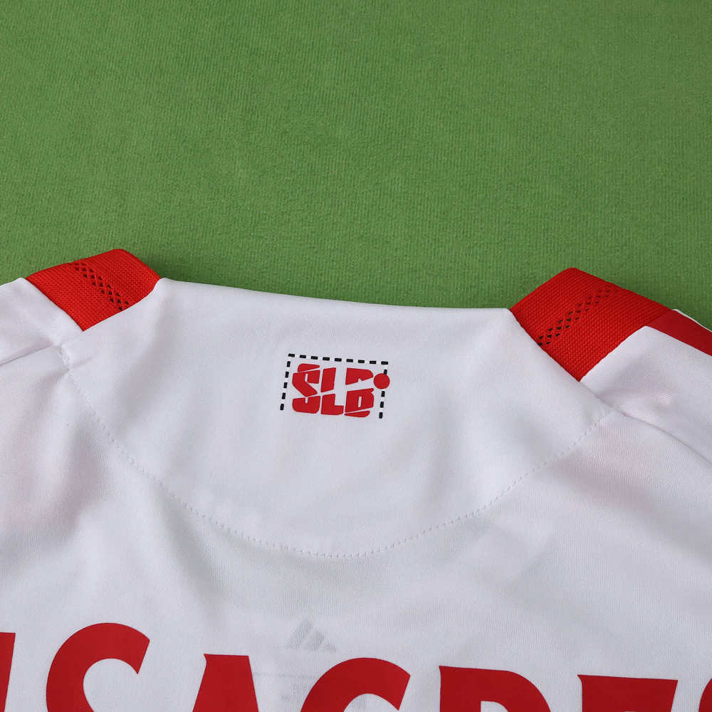 2526 season S.L. Benfica third Player version