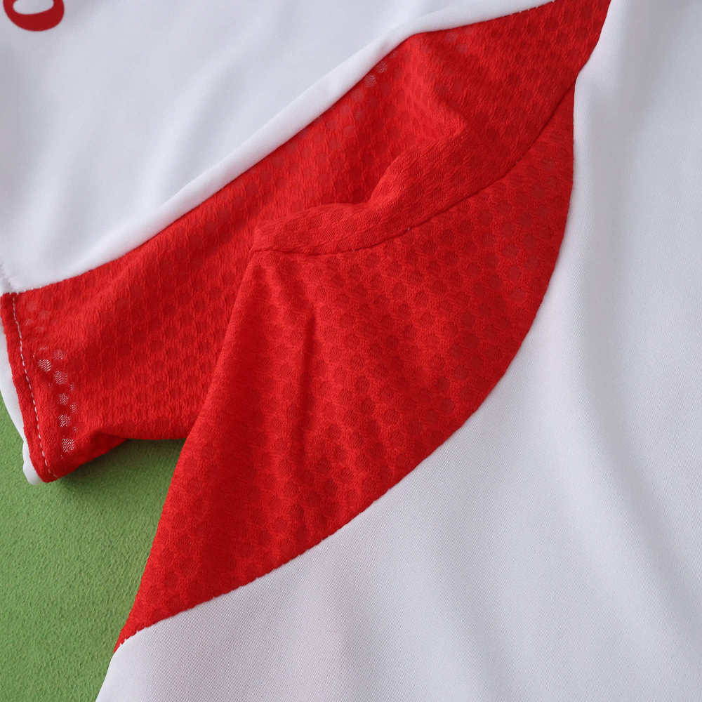 2526 season S.L. Benfica third Player version