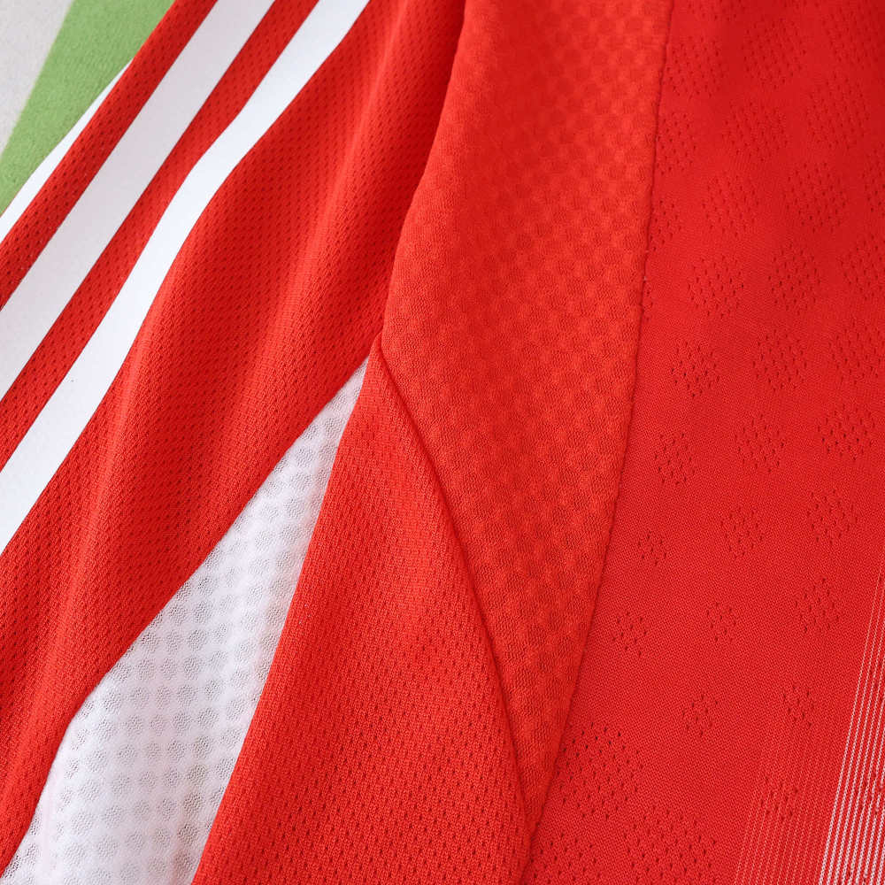 2526 season Fußball-Club Bayern München home Long sleeved Player version