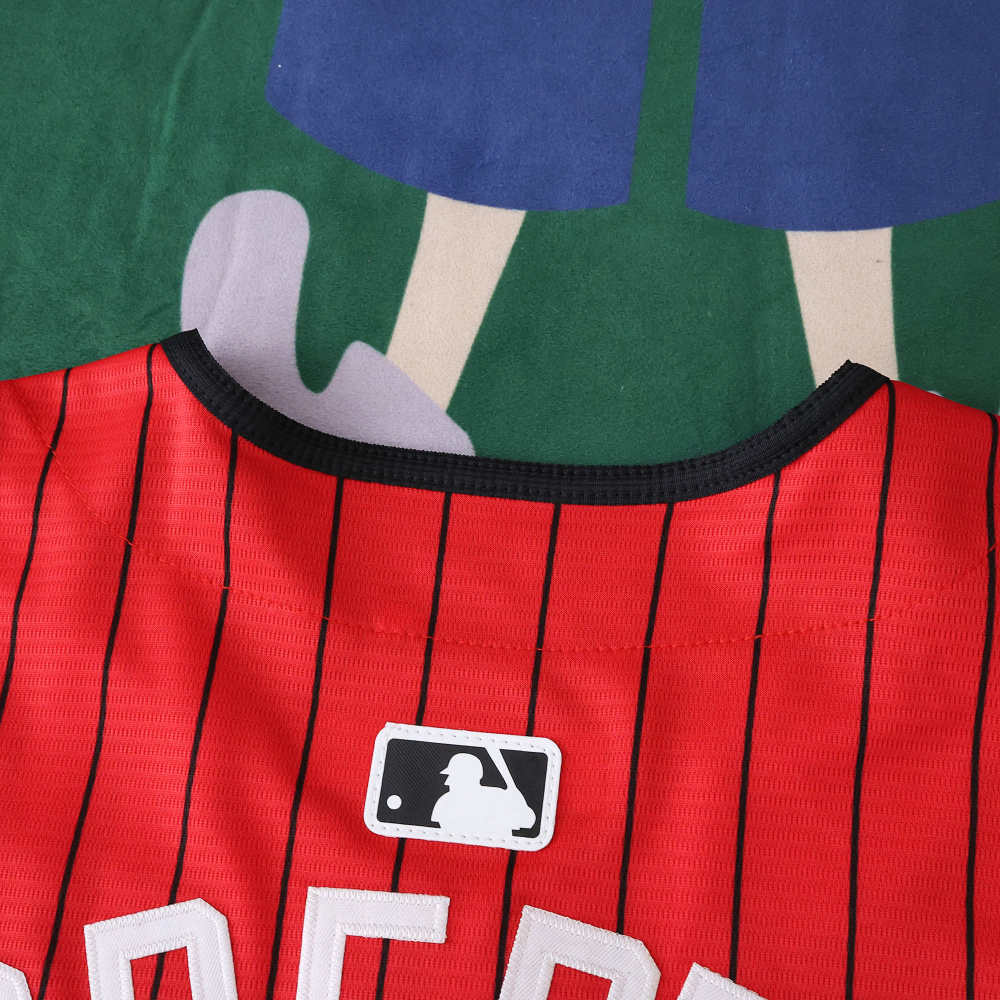 2025 MLB Chicago White Sox 88#ROBERTJR.