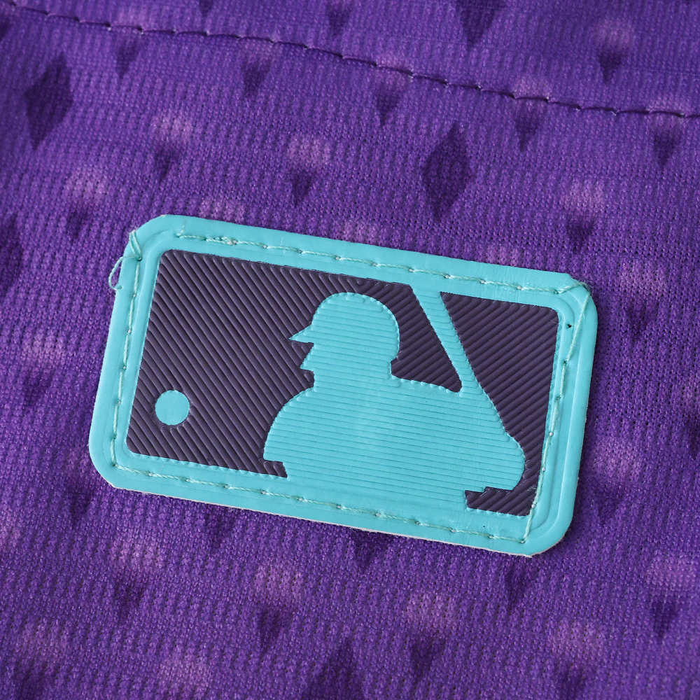2025 MLB Arizona Diamondbacks