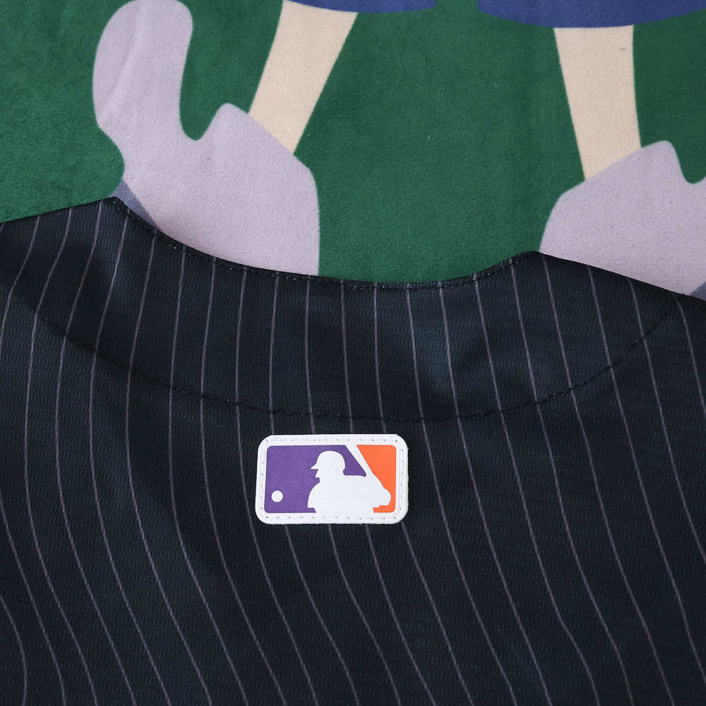2025 MLB San Francisco Giants