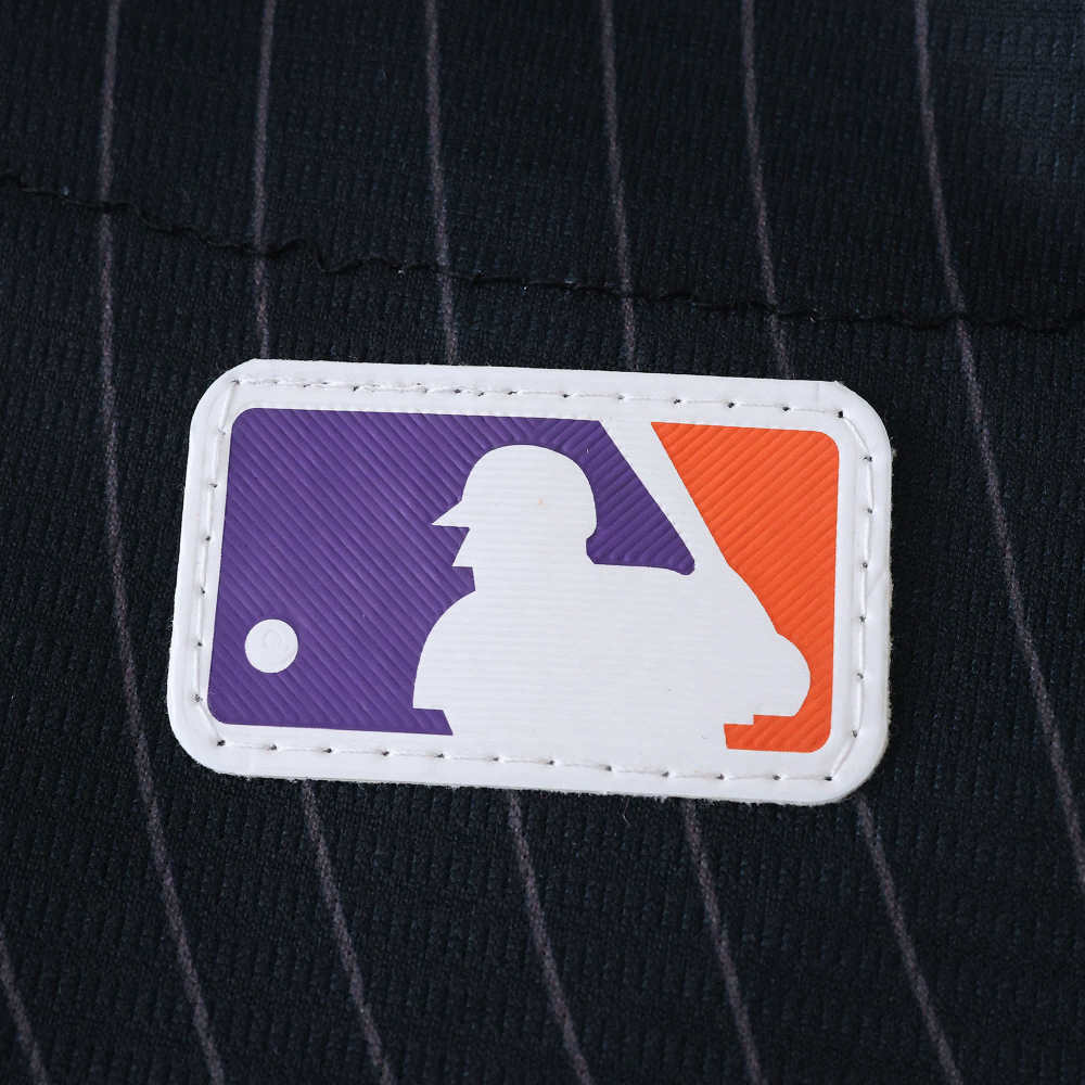 2025 MLB San Francisco Giants