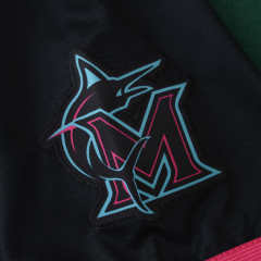 2025 MLB Miami Marlins