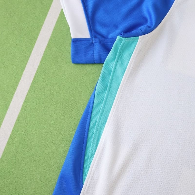 2526 season (Brighton & Hove Albion Football Club home Fan version