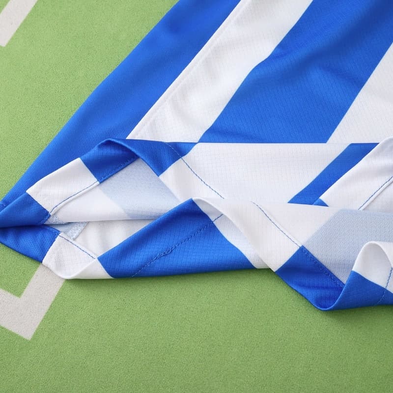 2526 season (Brighton & Hove Albion Football Club home Fan version