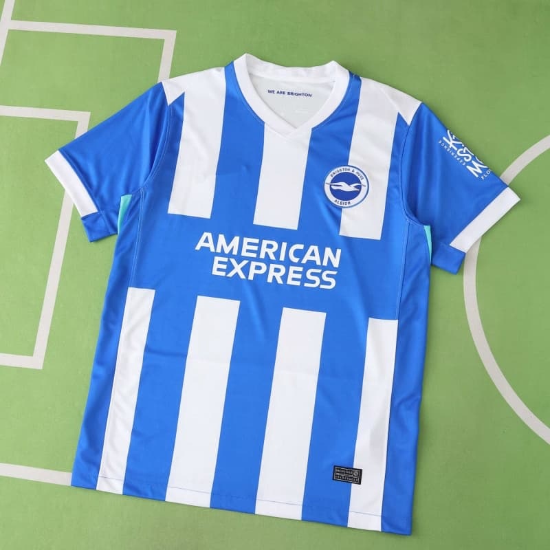 2526 season (Brighton & Hove Albion Football Club home Fan version
