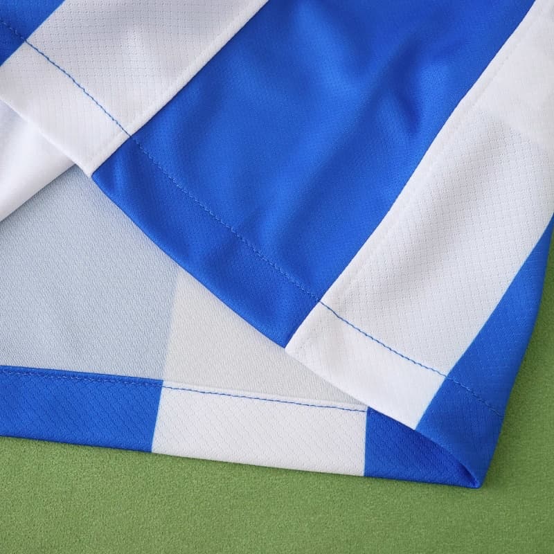 2526 season (Brighton & Hove Albion Football Club home Fan version