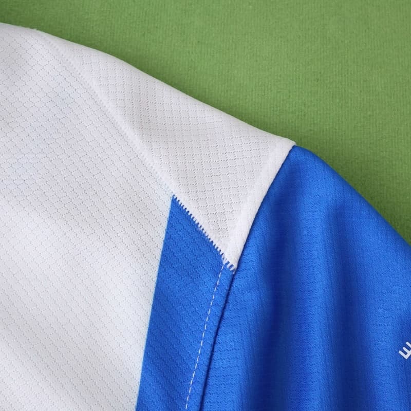 2526 season (Brighton & Hove Albion Football Club home Fan version