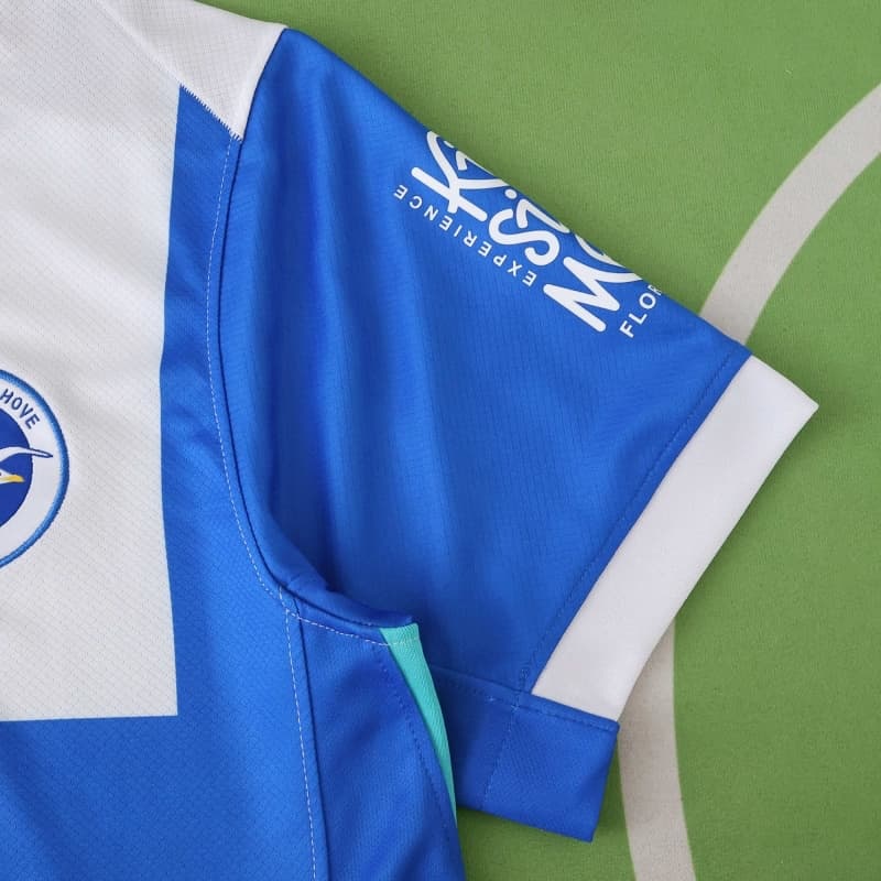 2526 season (Brighton & Hove Albion Football Club home Fan version