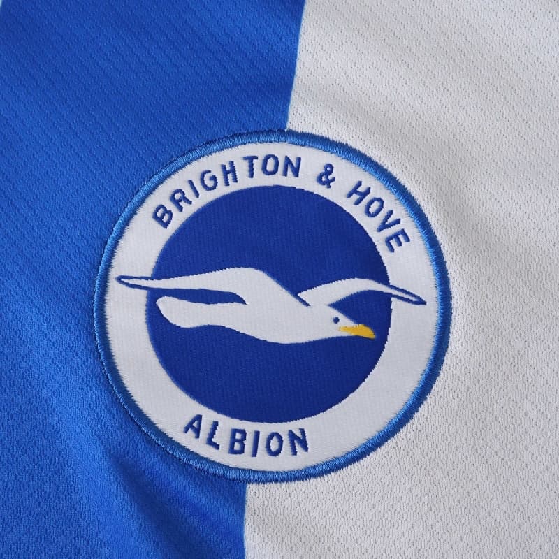 2526 season (Brighton & Hove Albion Football Club home Fan version