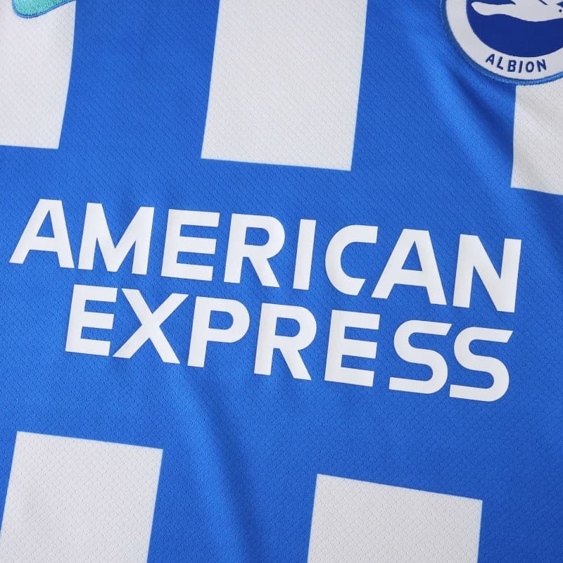 2526 season (Brighton & Hove Albion Football Club home Fan version