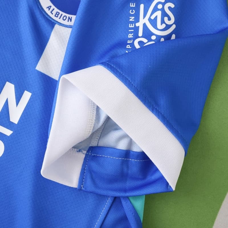 2526 season (Brighton & Hove Albion Football Club home Fan version