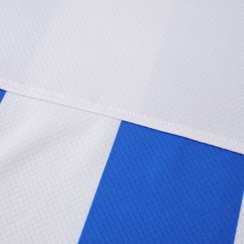 2526 season (Brighton & Hove Albion Football Club home Fan version